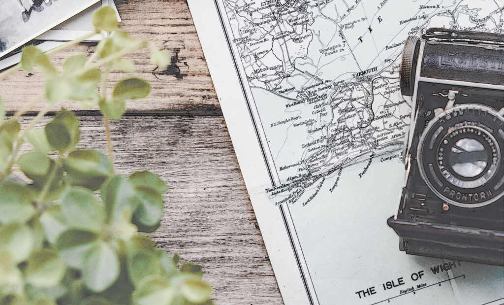 はりねずみが宙をとぶ