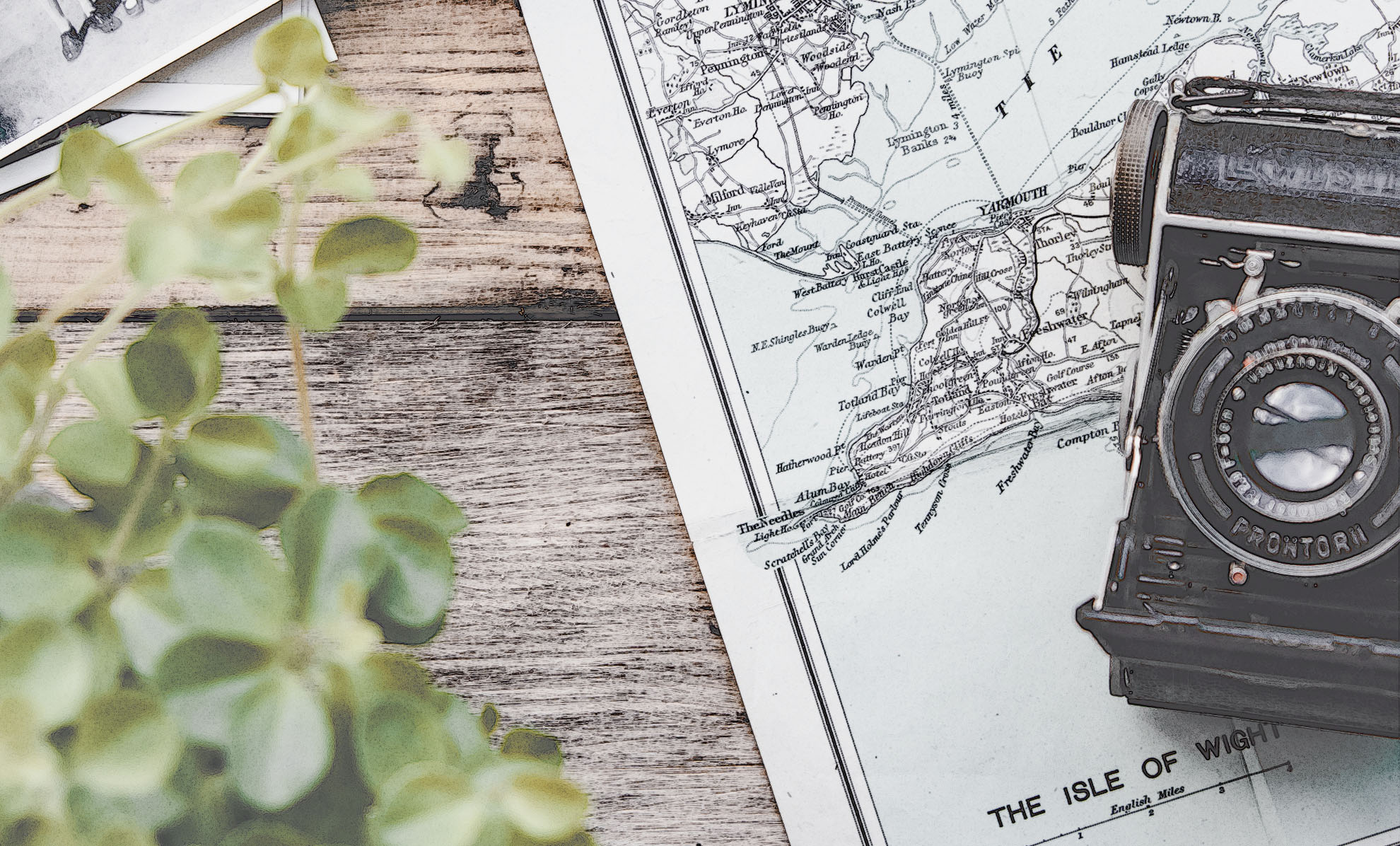 はりねずみが宙をとぶ